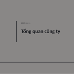 Trang chiếu 3