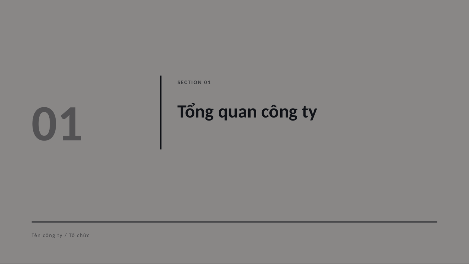 Trang chiếu 3 — Tài liệu giới thiệu agency