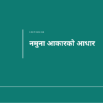 स्लाइड 5
