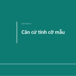 Trang chiếu 5