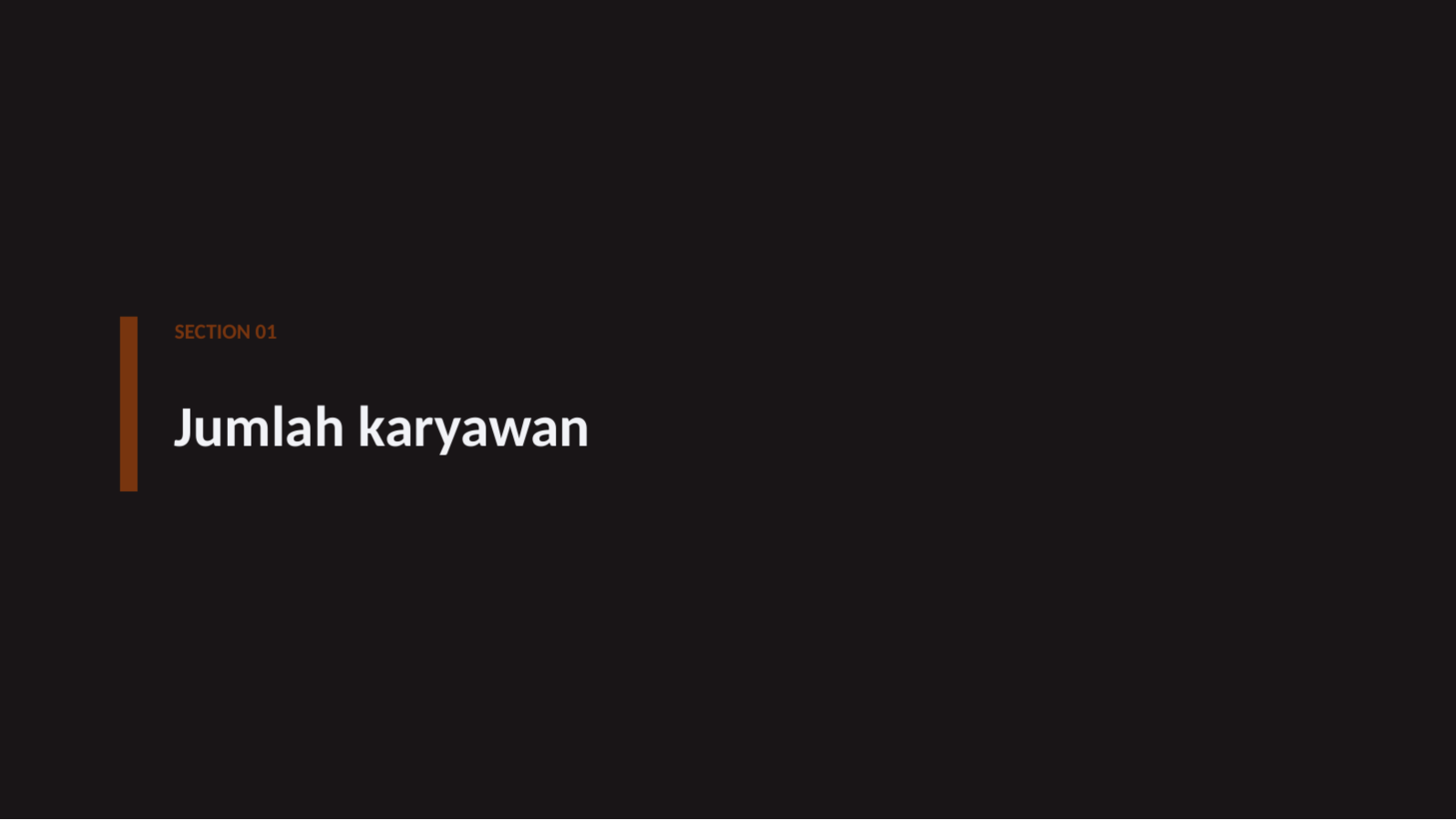 Slide 3 — Laporan kondisi SDM