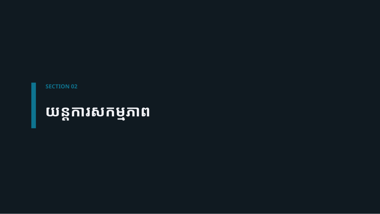 ស្លាយ 5 — ឯកសារណែនាំផលិតផលឱសថ