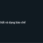 Trang chiếu 3