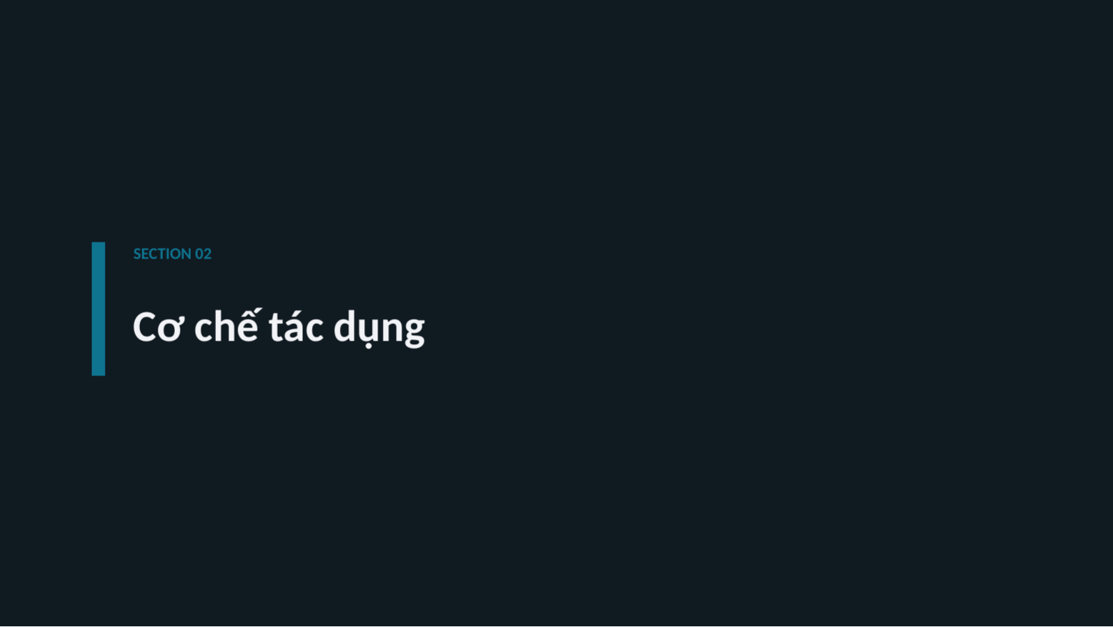 Trang chiếu 5 — Giới thiệu sản phẩm dược