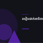 ស្លាយ 3