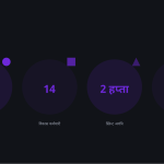 स्लाइड 8