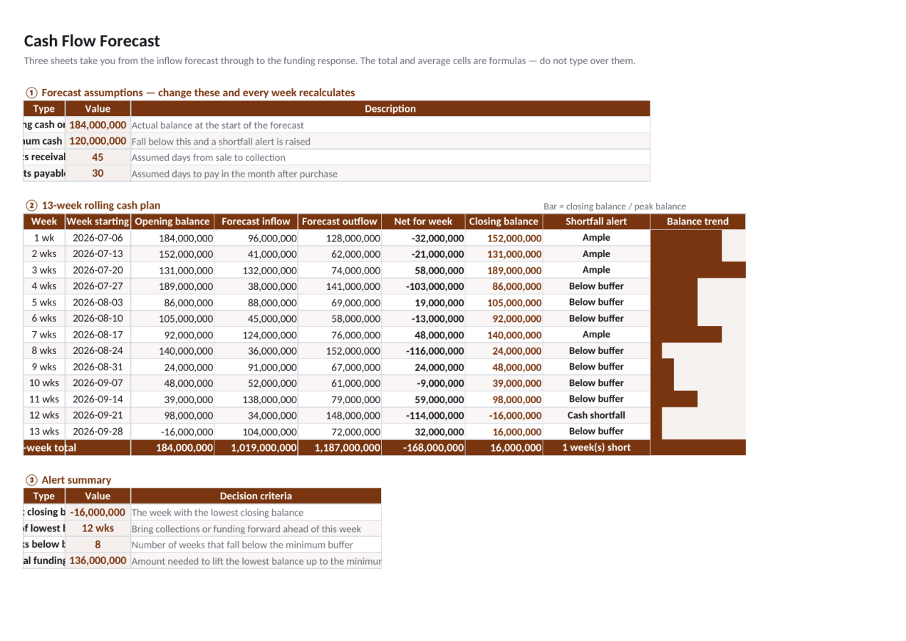 Preview 1 — Cash Flow Forecast
