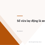 Trang chiếu 12