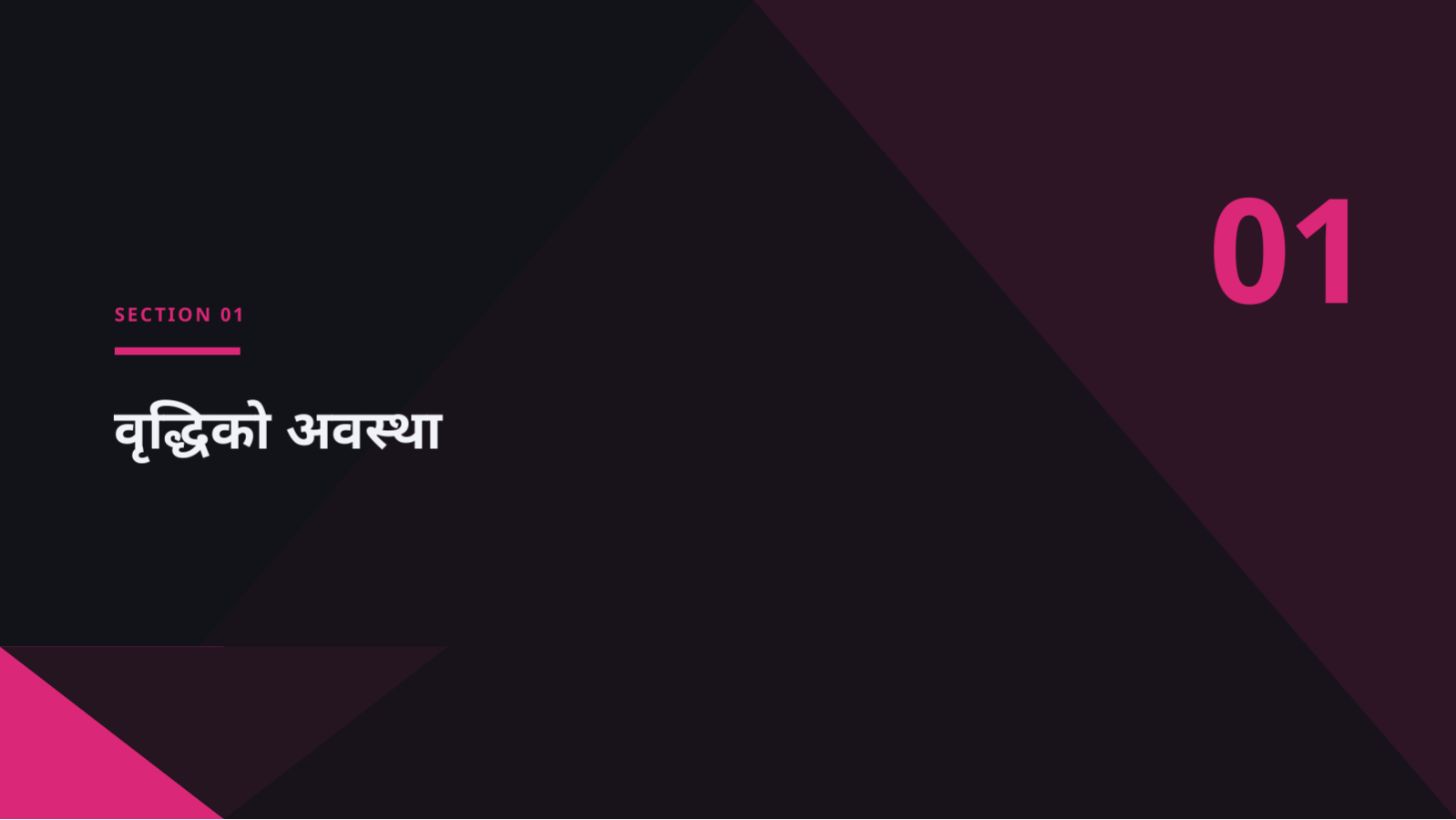 स्लाइड 3 — वृद्धि रणनीति प्रस्तुति