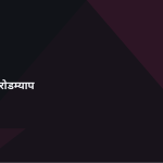 स्लाइड 11