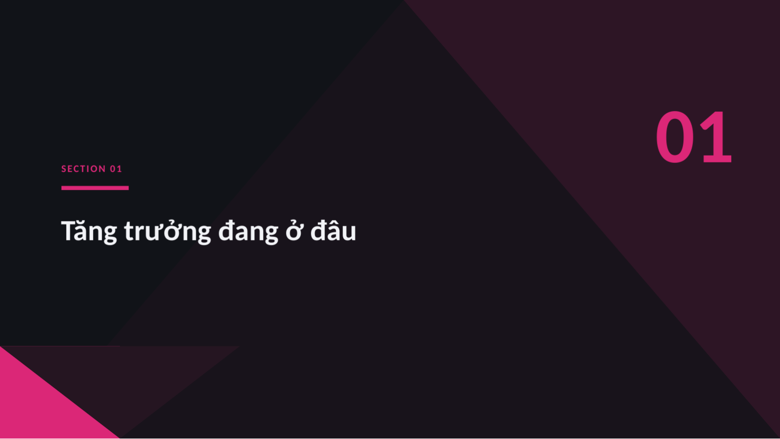 Trang chiếu 3 — Trình bày chiến lược tăng trưởng
