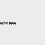 स्लाइड 3