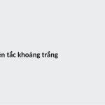 Trang chiếu 3