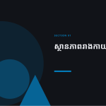 ស្លាយ 3