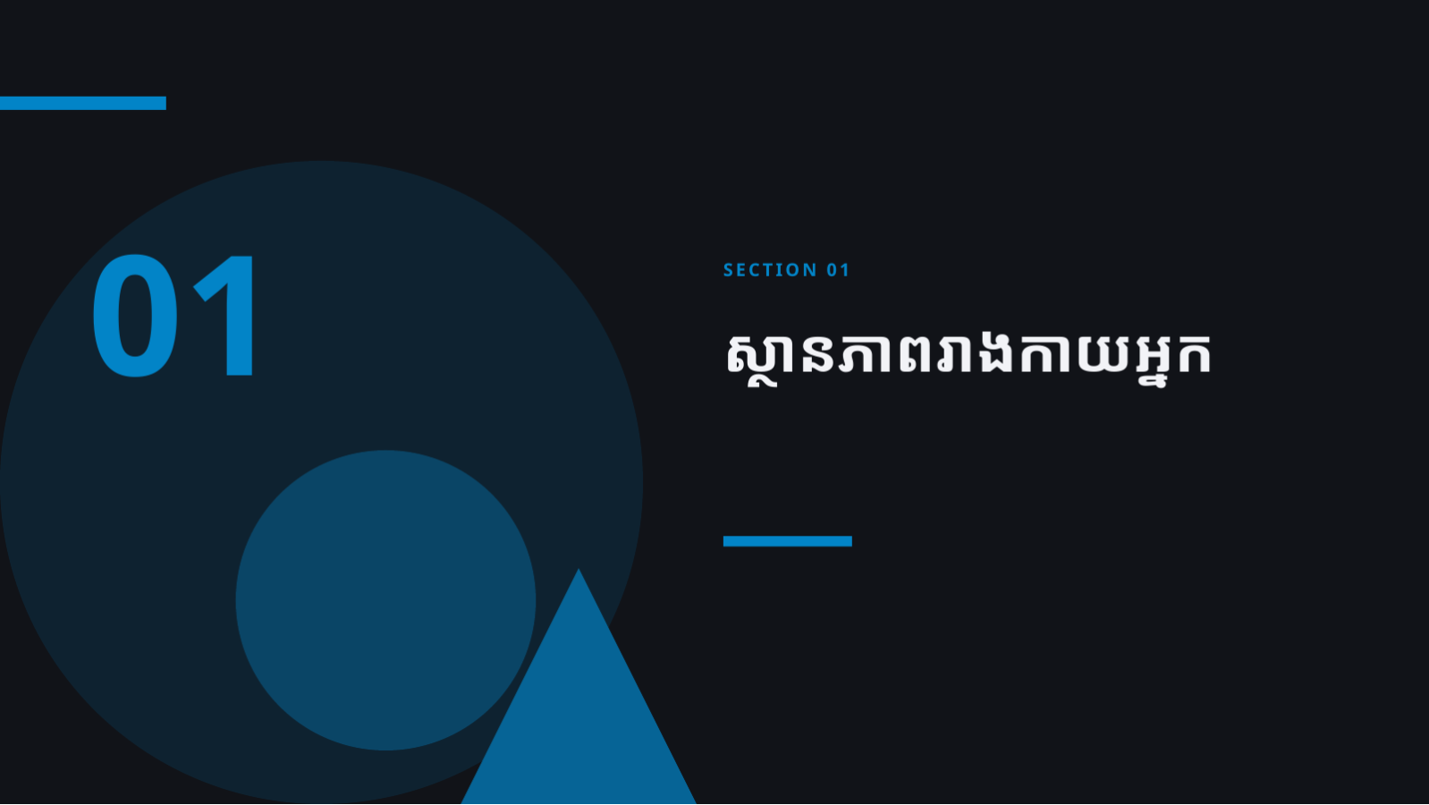 ស្លាយ 3 — ឯកសារអប់រំអ្នកជំងឺ