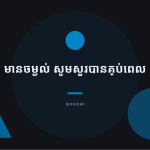 ស្លាយ 8