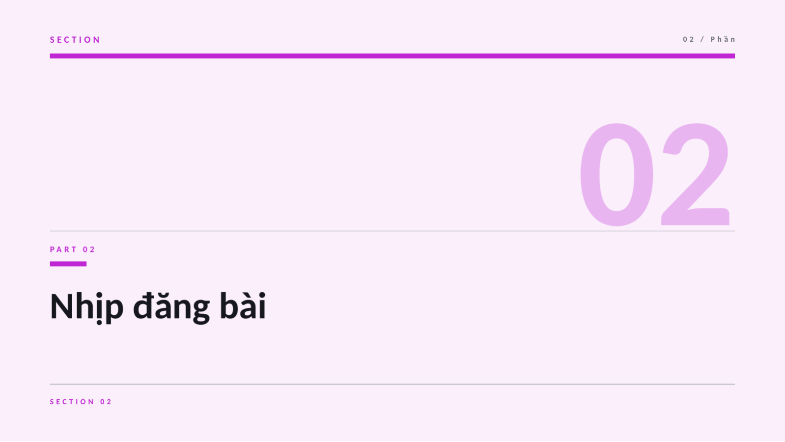 Trang chiếu 5 — Báo cáo hiệu quả kênh mạng xã hội