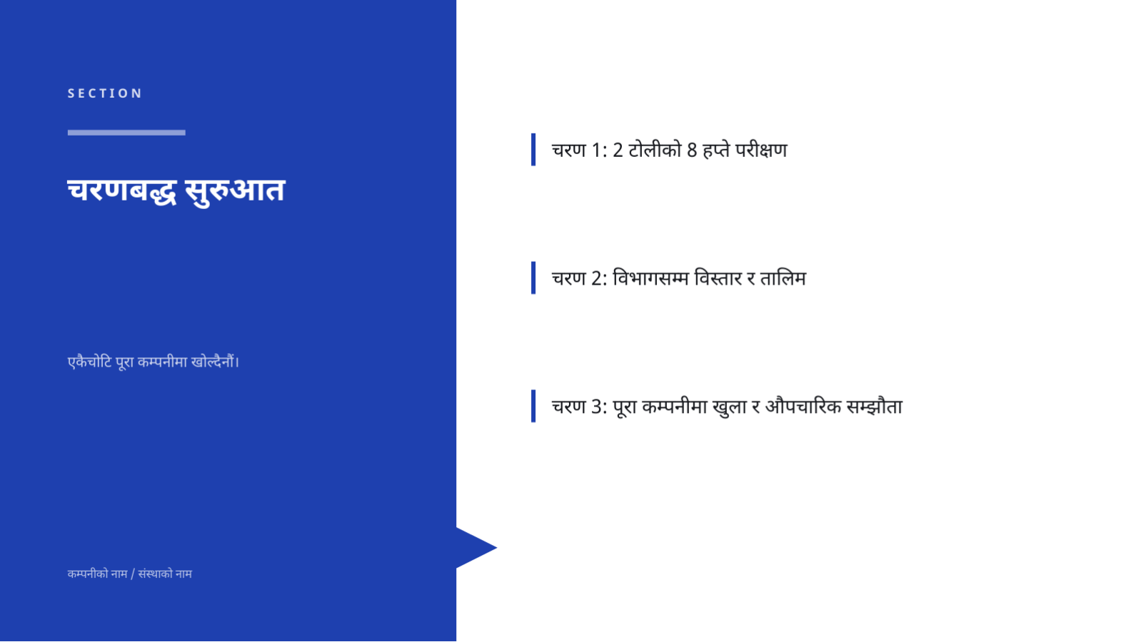 स्लाइड 8 — AI कार्यान्वयन प्रस्ताव