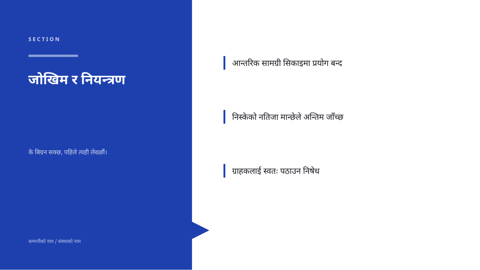 स्लाइड 10 — AI कार्यान्वयन प्रस्ताव