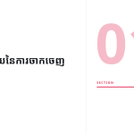 ស្លាយ 3