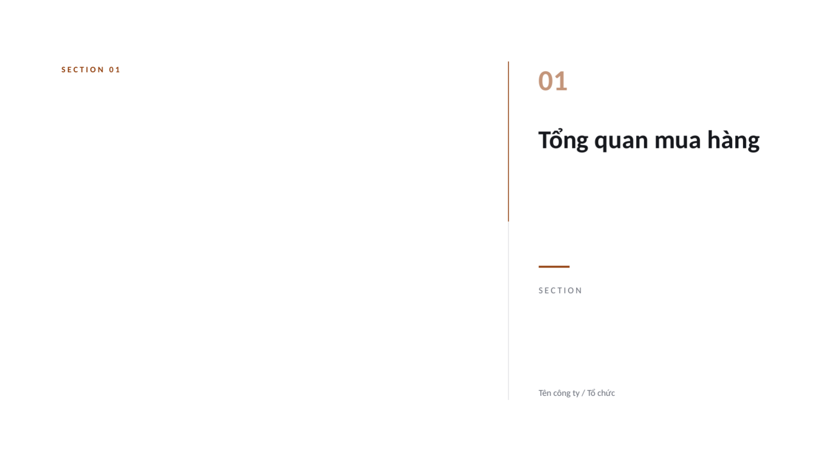 Trang chiếu 3 — Báo cáo kết quả mua sắm