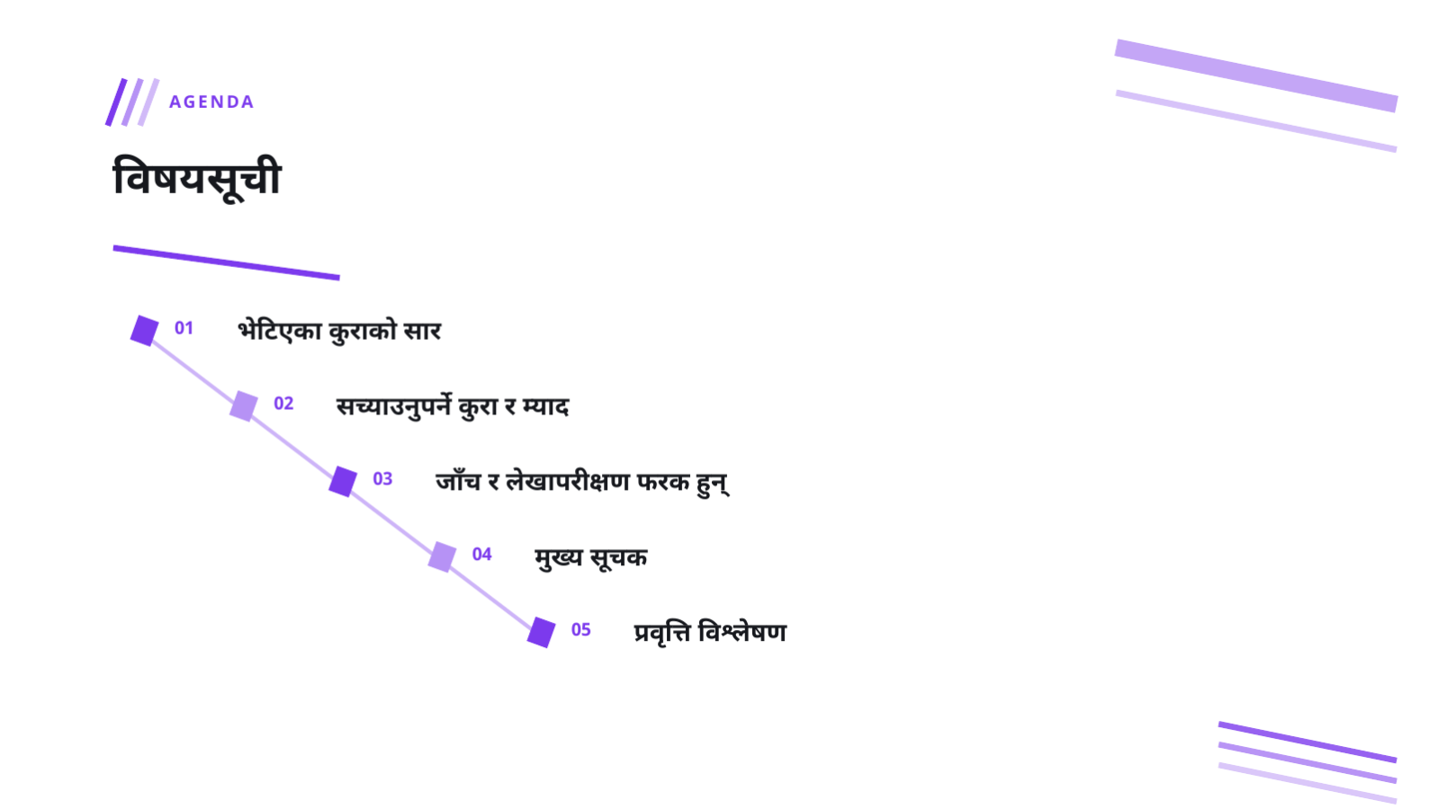 स्लाइड 2 — सुरक्षा लेखापरीक्षण प्रतिवेदन