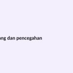 Slide 11