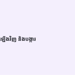ស្លាយ 11
