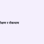 स्लाइड 11
