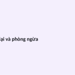 Trang chiếu 11