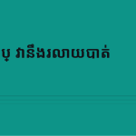 ស្លាយ 12