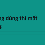 Trang chiếu 12