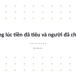Trang chiếu 10