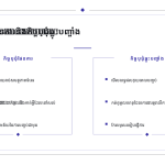 ស្លាយ 11