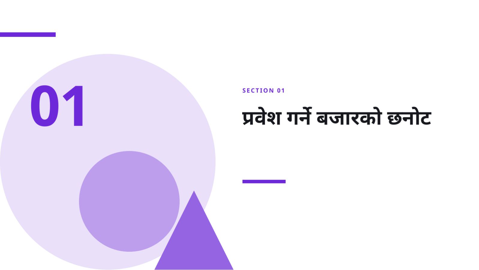 स्लाइड 3 — बजार प्रवेश रणनीति