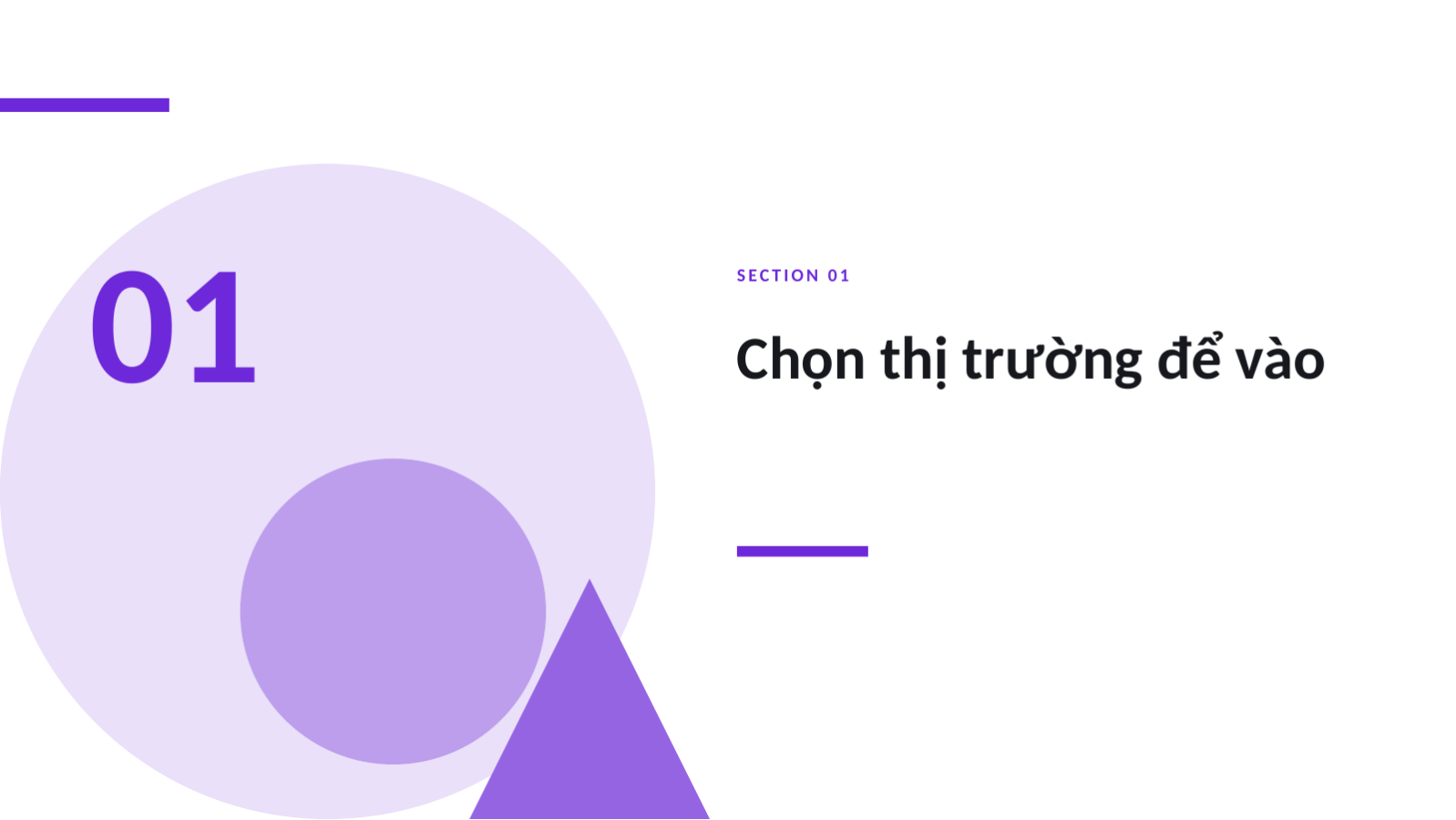 Trang chiếu 3 — Chiến lược thâm nhập thị trường
