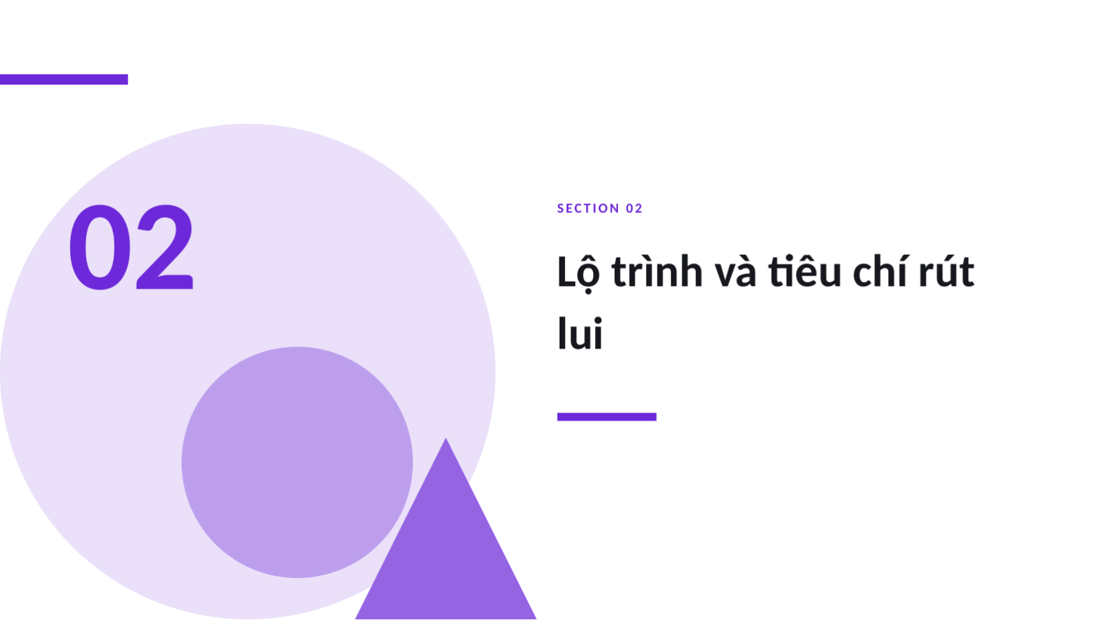 Trang chiếu 5 — Chiến lược thâm nhập thị trường