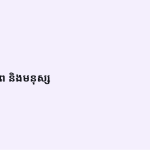 ស្លាយ 5