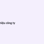 Trang chiếu 3