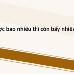 Trang chiếu 12
