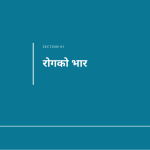 स्लाइड 3