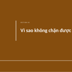 Trang chiếu 5