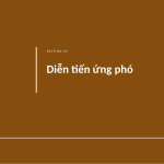 Trang chiếu 7