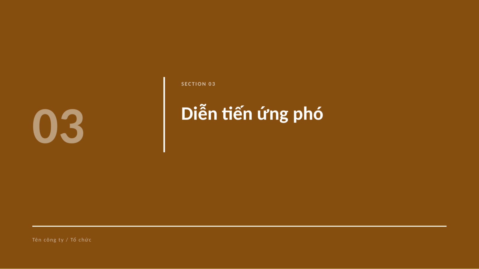 Trang chiếu 7 — Trình bày rà soát sự cố