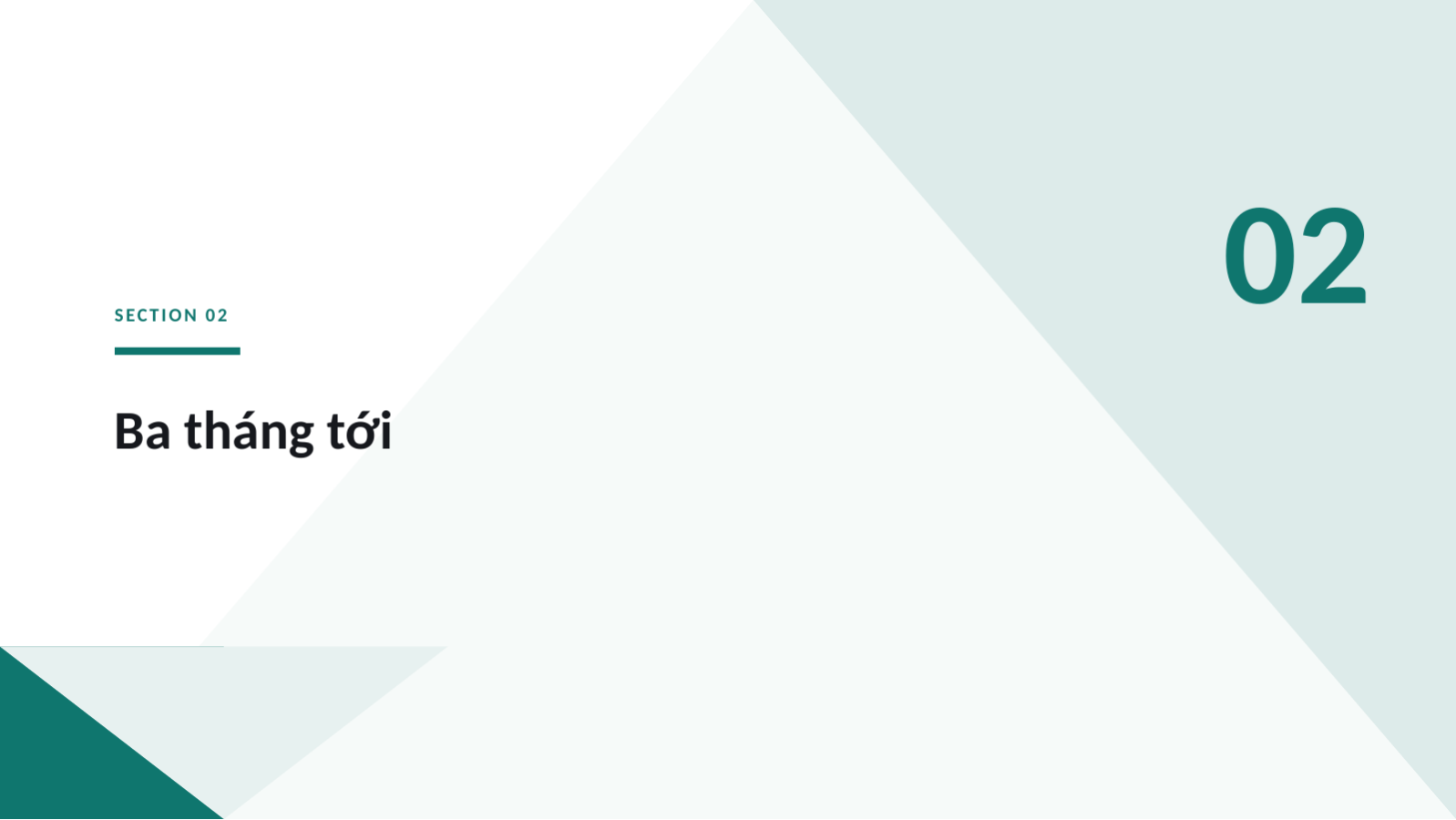 Trang chiếu 5 — Tài liệu họp toàn công ty