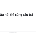 Trang chiếu 10