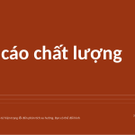 Trang chiếu 1