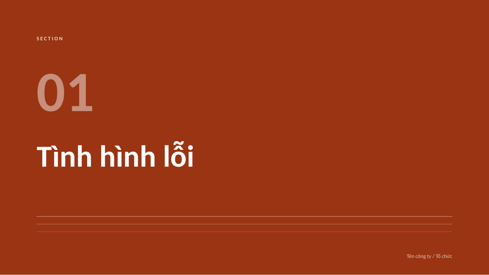 Trang chiếu 3 — Báo cáo chất lượng