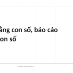 Trang chiếu 10